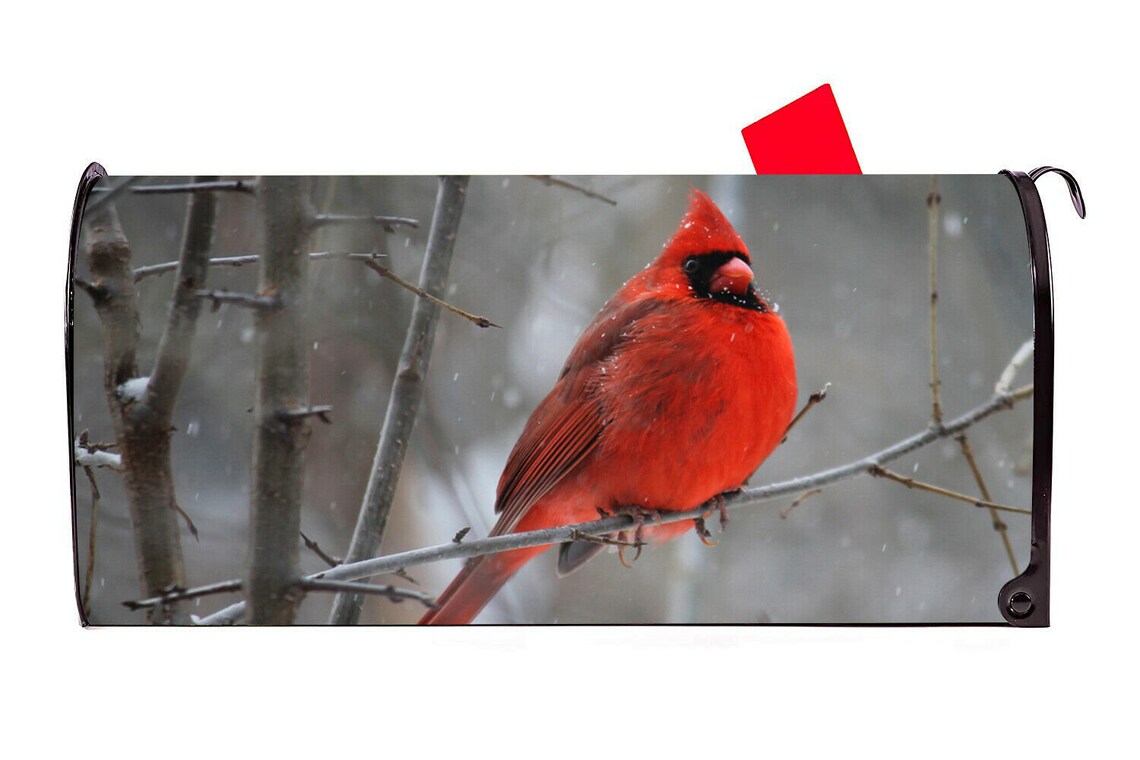 Cardinal Bird Vinyl Mailbox Cover Made in the USA Etsy