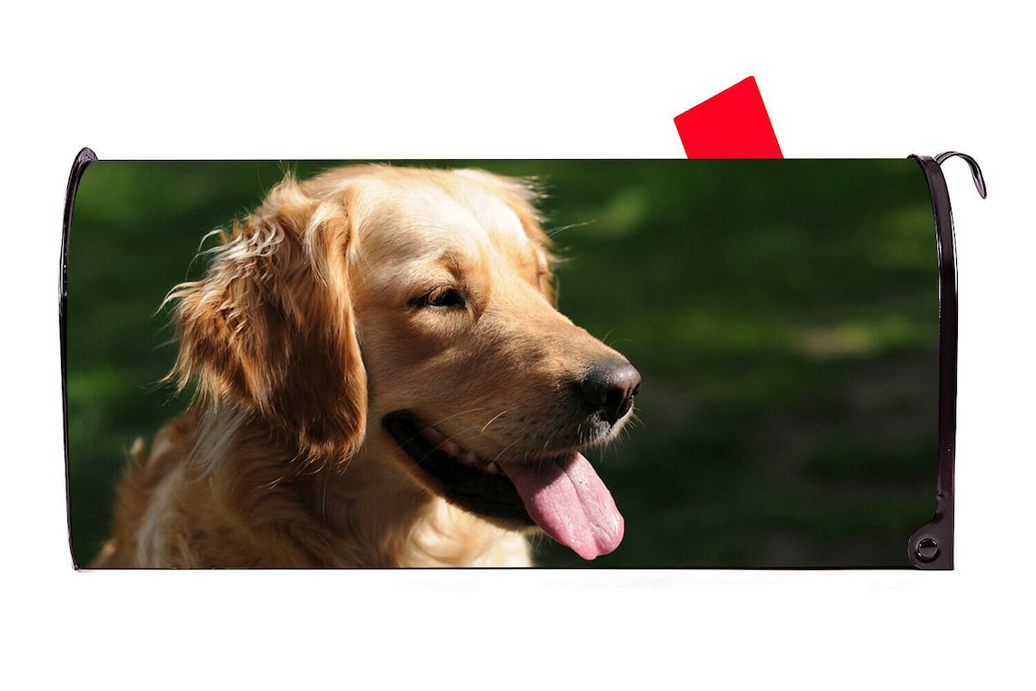 Golden Retriever 5 Dog Vinyl Mailbox Cover Made in Etsy