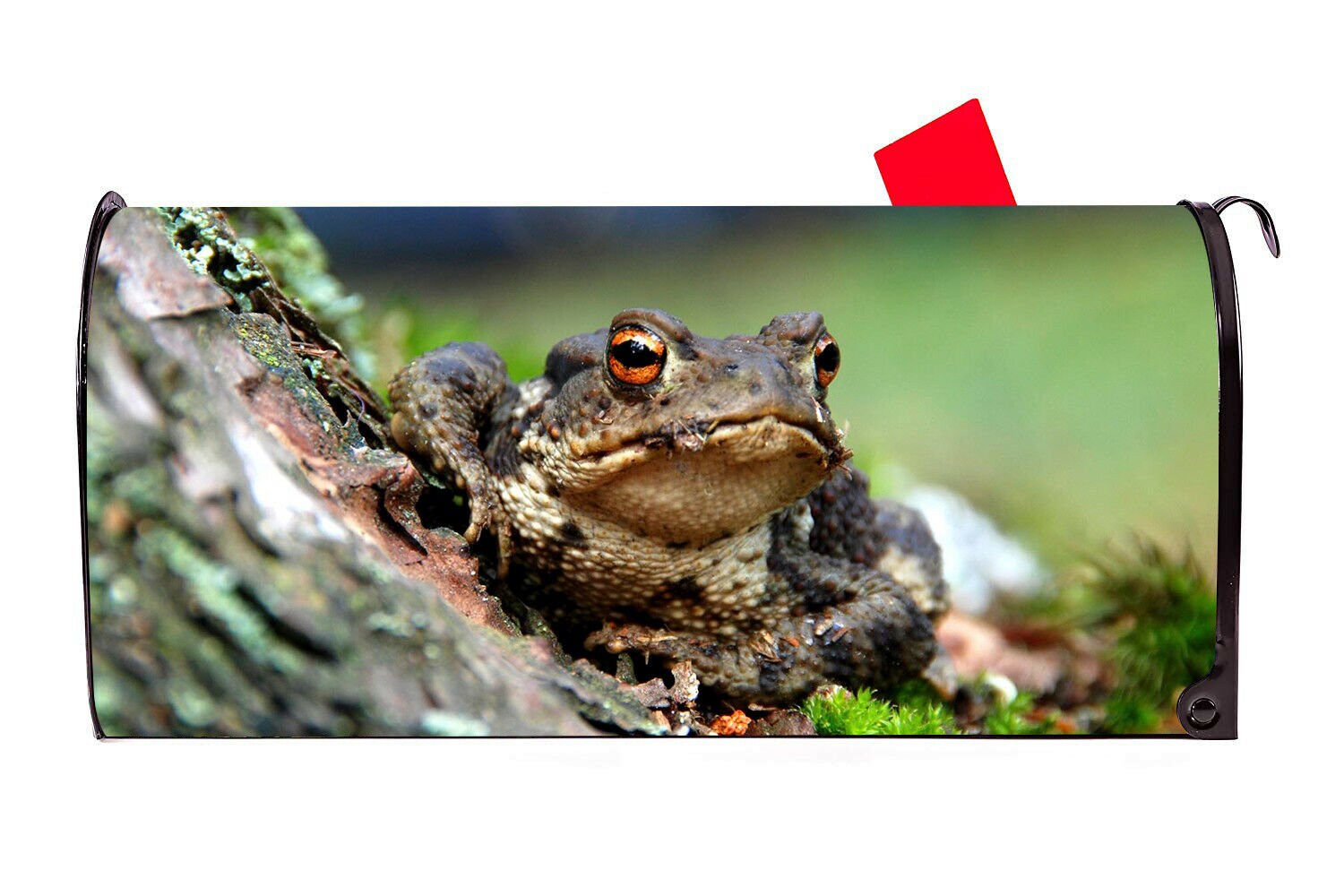 Friendly Frog Vinyl Magnetic Mailbox Cover Made in the USA - Etsy UK