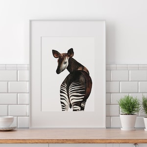 Okapi Watercolour Art Print • Watercolour Okapi Illustration •  African Animals • Okapi