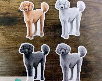 May include: Four illustrated poodle stickers in different colors: apricot, white, black, and gray. The stickers are on a wood background.