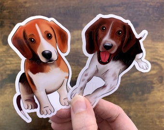 Beagle Sticker, Water Proof Sticker, Dog Sticker, Water Bottle Sticker, Tricolor Beagle, Puppy and Adult Beagle