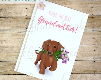 Longhair Dachshund Mother's Day Card, Grandmother Card, Dog Mother's Day Card, Funny Mother's Day Card, Doxie, Weenie Dog Card