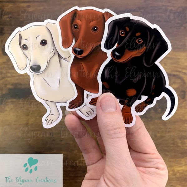 Dachshund Shorthair Sticker, Water Proof Sticker, Shorthair Weenie Dog Sticker, Brown, Black and Tan, Cream Dachshund