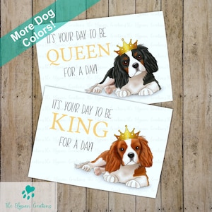 Carte d'anniversaire Cavalier King Charles, c'est votre jour, carte pour amoureux des chiens, message de carte personnalisé, carte personnalisée, Blenheim, rubis, noir et feu