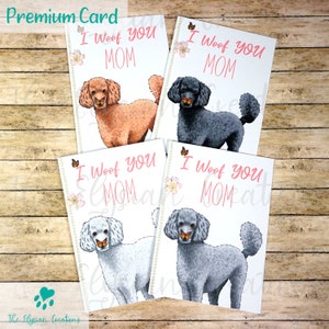 Poodle Mother's Day Card, Dog Mother's Day Card, Funny Mother's Day Card, Standard Poodle, Black Poodle, Brown Poodle, White Poodle, Gray