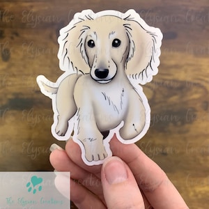 May include: A sticker of a cartoon dachshund dog with brown eyes, a black nose, and a light brown and white coat. The dog is standing on all four paws and looking directly at the viewer.
