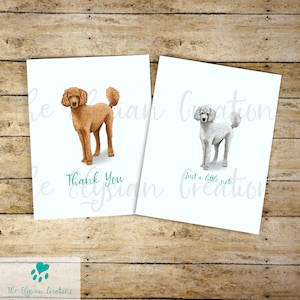 May include: Two greeting cards featuring illustrations of poodle dogs. The card on the left has a brown poodle and the text "Thank You". The card on the right has a white poodle and the text "Just a little note".
