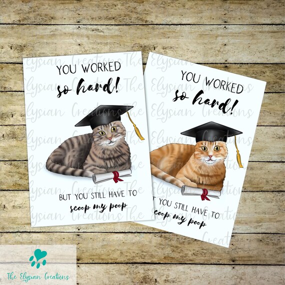 custom grad cards Funny Personalized Tabby Cat Graduation Card 5x7, Tabby Kitten  Congratulations Card, College Grad Card, Custom Graduation Card
