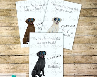 Custom Labrador Retriever Birthday Card, Lab Black, Lab Retriever Chocolate, Shorthair Lab Yellow, Birthday Card, Personalized Card
