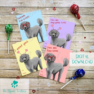 Gray Poodle Kids Valentines, Instant Download, Printable, Dog Valentine, School Valentines, Elementary School Valentines