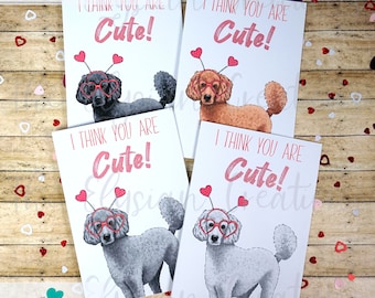 Poodle Valentine's Day Card, Dog Valentine's Day Card, Funny Dog Valentine's Day Card, Brown, White, Black, Gray, Golden Doodle Valentine