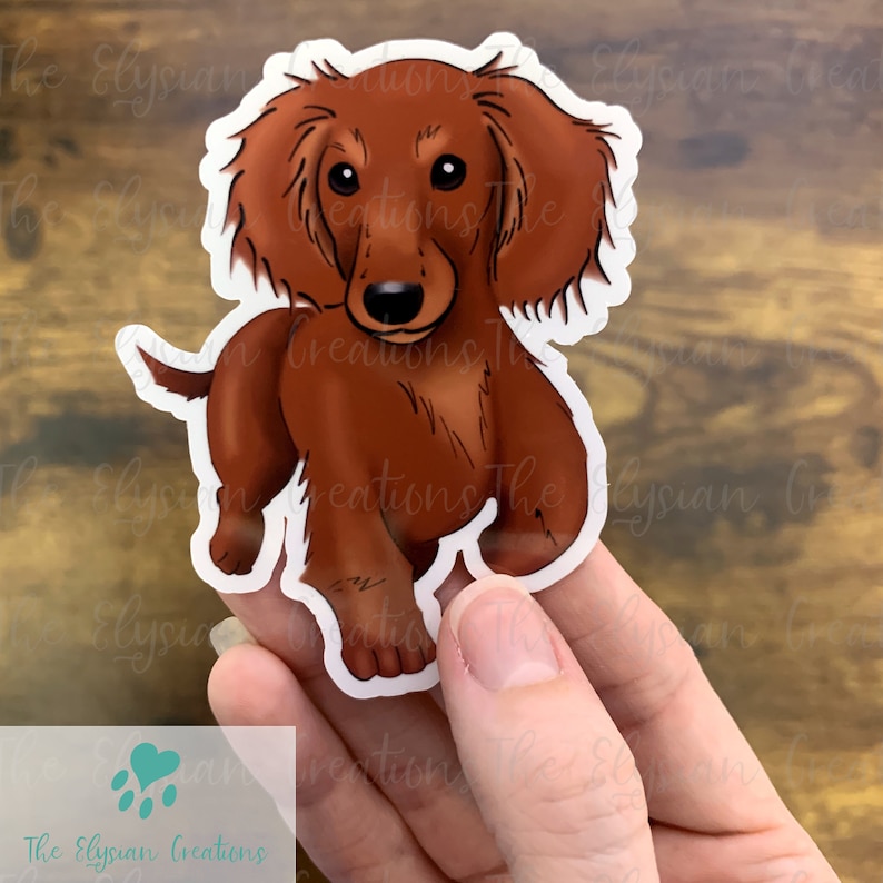 May include: A brown dachshund dog sticker with a white outline. The dog is standing with its front paws slightly raised. The dog has a brown nose and brown eyes.