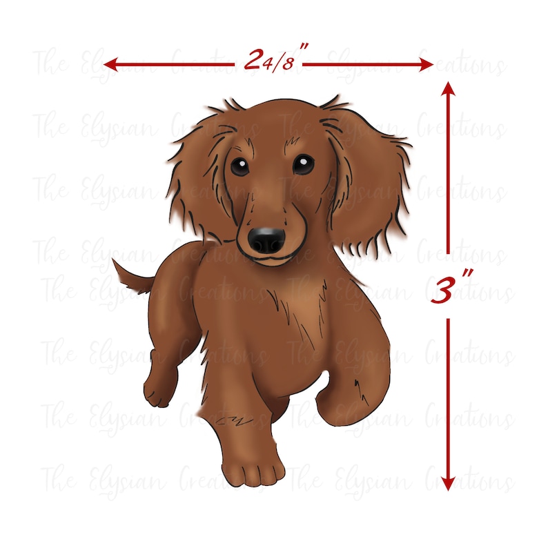 May include: A digital illustration of a brown dachshund dog standing on all four paws. The dog is looking directly at the viewer. The dog is 3 inches tall and 24/8 inches wide.