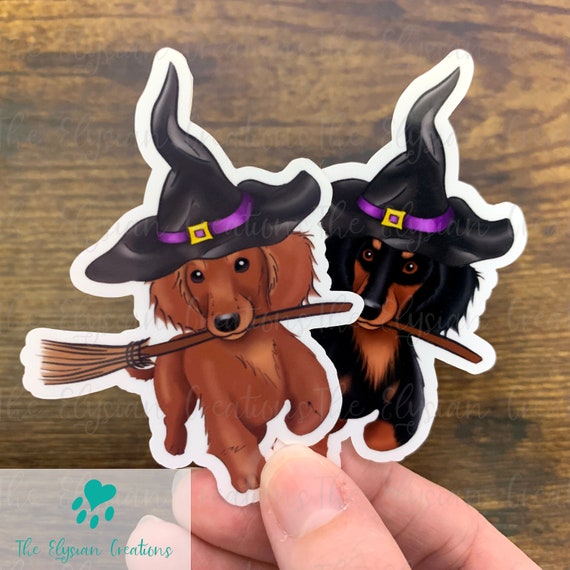 Witch Longhair Dachshund Shorthair Sticker, Water Proof Sticker, Weenie Dog  Sticker, Brown, Black and Tan, Cream Dachshund, Funny Halloween - Etsy