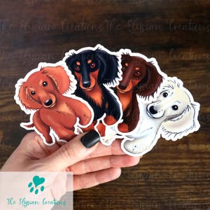 May include: Four dachshund dog stickers, each with a different color and pattern. The stickers are on a wooden surface and are being held by a hand.
