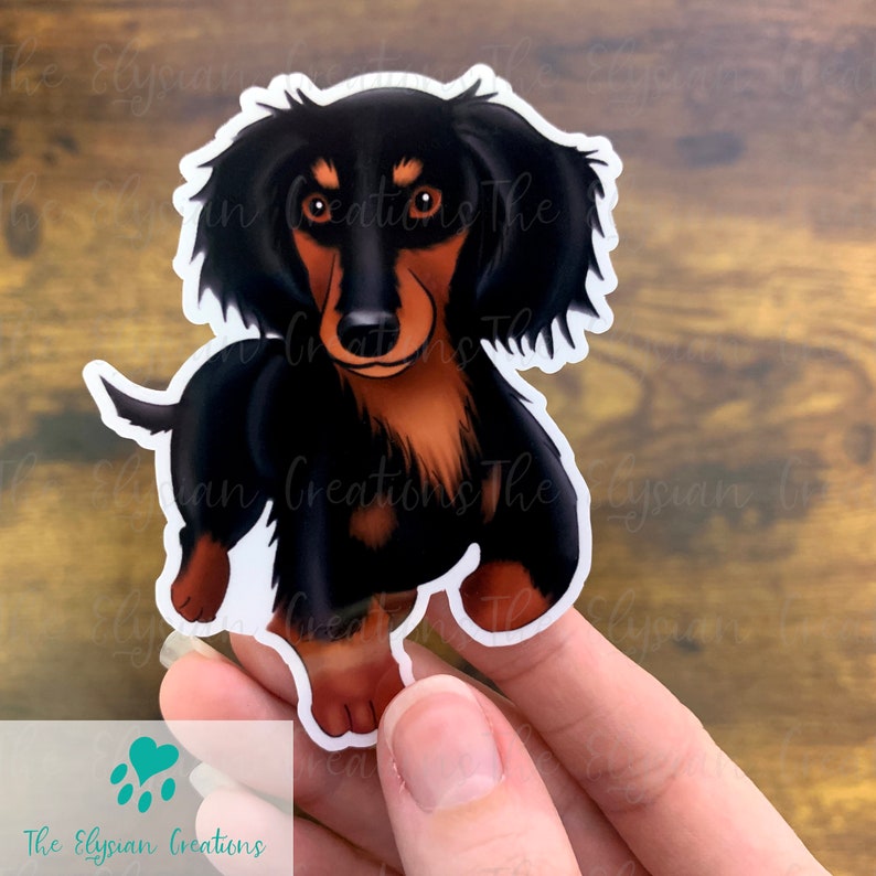 May include: A black and tan dachshund with brown eyes, standing on all fours. The dog is looking directly at the camera. The sticker is on a white background.