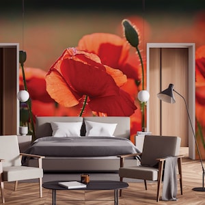 Mohnblumen-Wandbild, Blumentapete | Abziehen und aufkleben | Selbstklebend | Repositionierbare, abnehmbare Tapete