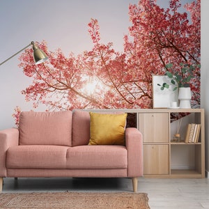 Cherry tree wallpaper, pink flower, floral wall mural [Peel and Stick (self adhesive) or Traditional Vinyl Papers]