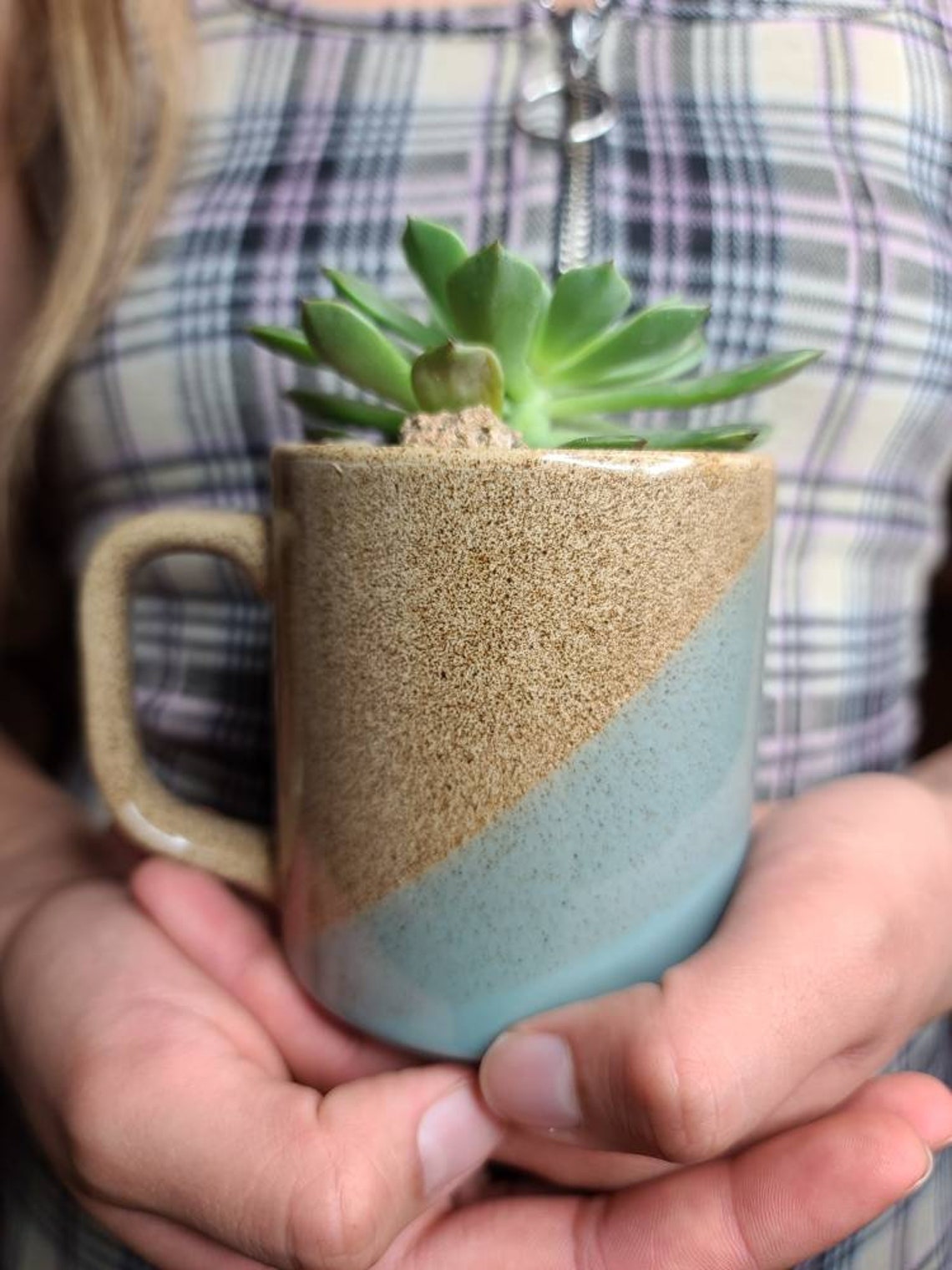LIVE Succulent in Ceramic Coffee Mug with Drain Hole teacher Etsy