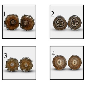 Unique Solar Quartz Stud Earring, Black Gold Plated Stud Earrings, Brown Solar Quartz Earring, Solar Quartz Stud Earrings For Girls Beauty
