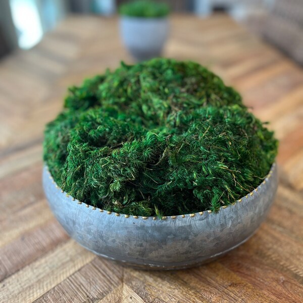 Moss Centerpiece Etsy