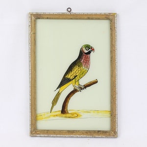 Dipinto vintage di pappagallo su vetro rovesciato - Arte dipinta a mano, cornice in legno