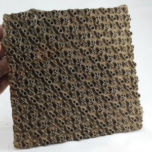 Old Indian Wooden Printing Stamp: Hand-Carved Textile Floral Design
