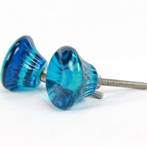 May include: Two blue glass cabinet knobs with a silver screw. The knobs have a swirl pattern and are a light and dark blue color.