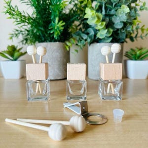 Pu&ograve; includere: Flaconi diffusori di profumo per auto in vetro trasparente con top in legno e bastoncini diffusori bianchi. I flaconi sono appoggiati su una superficie di legno chiaro, con una clip metallica e un piccolo tappo di plastica nelle vicinanze. Piante verdi in vasi grigi sullo sfondo.