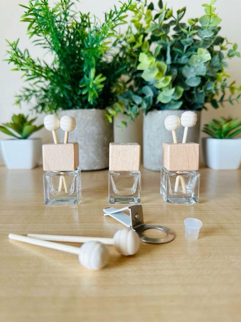 Pu&ograve; includere: Flaconi diffusori di profumo per auto in vetro trasparente con top in legno e bastoncini diffusori bianchi. I flaconi sono appoggiati su una superficie di legno chiaro, con una clip metallica e un piccolo tappo di plastica nelle vicinanze. Piante verdi in vasi grigi sullo sfondo.