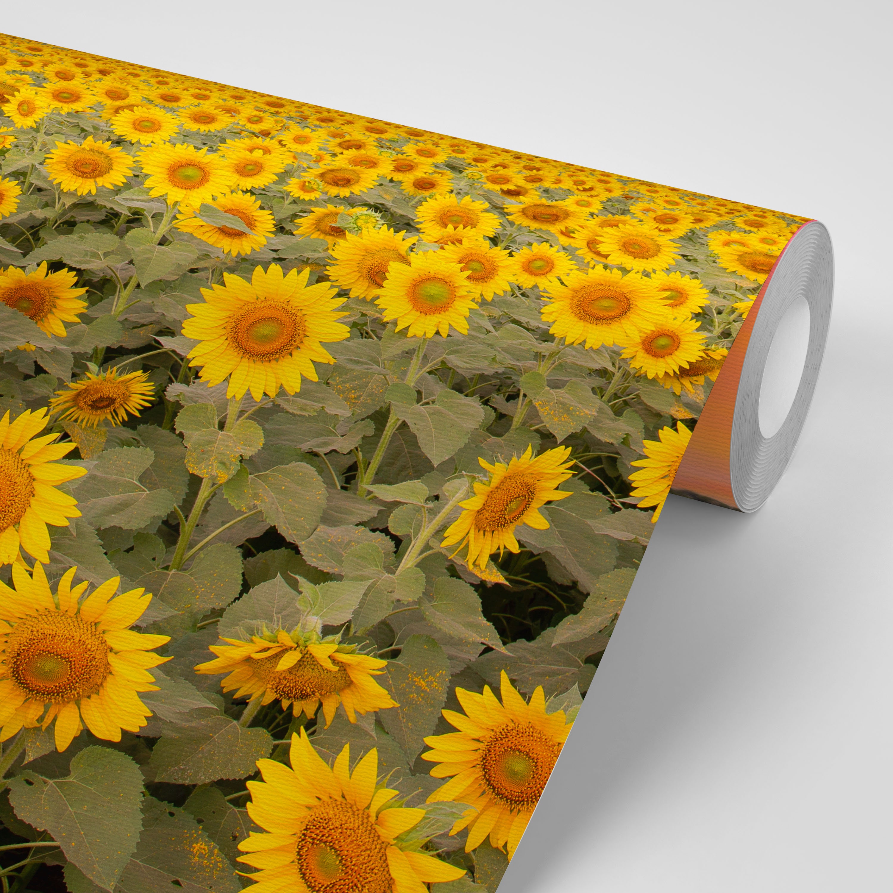 Sunflower Blossom Sunset Wallpaper Wall Decal for Bedroom Etsy