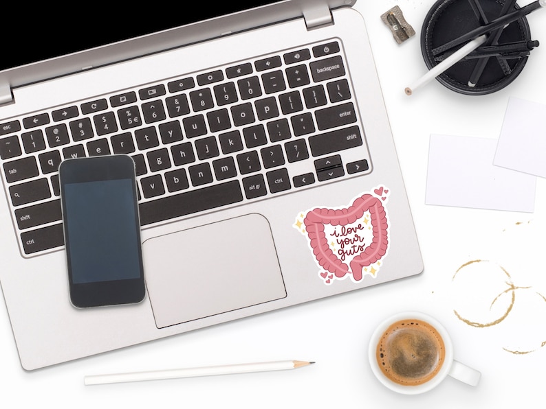 I Love Your Guts Waterproof Sticker | Anatomical GI Intestines | Laptop Decal | Gastrointestinal | Dietitian Gift image 4