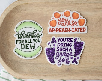 Encouraging Fruit Puns Sticker Bundle | Waterproof Food Pun Decal | Clinical RD Preceptor Gift | Registered Dietitian Day Gift