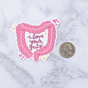 I Love Your Guts Waterproof Sticker | Anatomical GI Intestines | Laptop Decal | Gastrointestinal | Dietitian Gift image 2