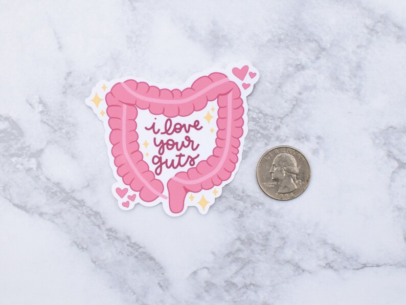 I Love Your Guts Waterproof Sticker | Anatomical GI Intestines | Laptop Decal | Gastrointestinal | Dietitian Gift image 2
