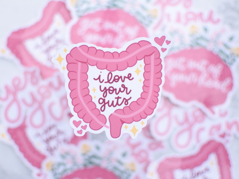 I Love Your Guts Waterproof Sticker | Anatomical GI Intestines | Laptop Decal | Gastrointestinal | Dietitian Gift image 3