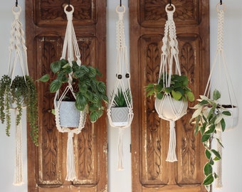 May include: Five macrame plant hangers with white cord and wooden rings hanging from a wooden wall. Each hanger has a different plant in a white ceramic pot.