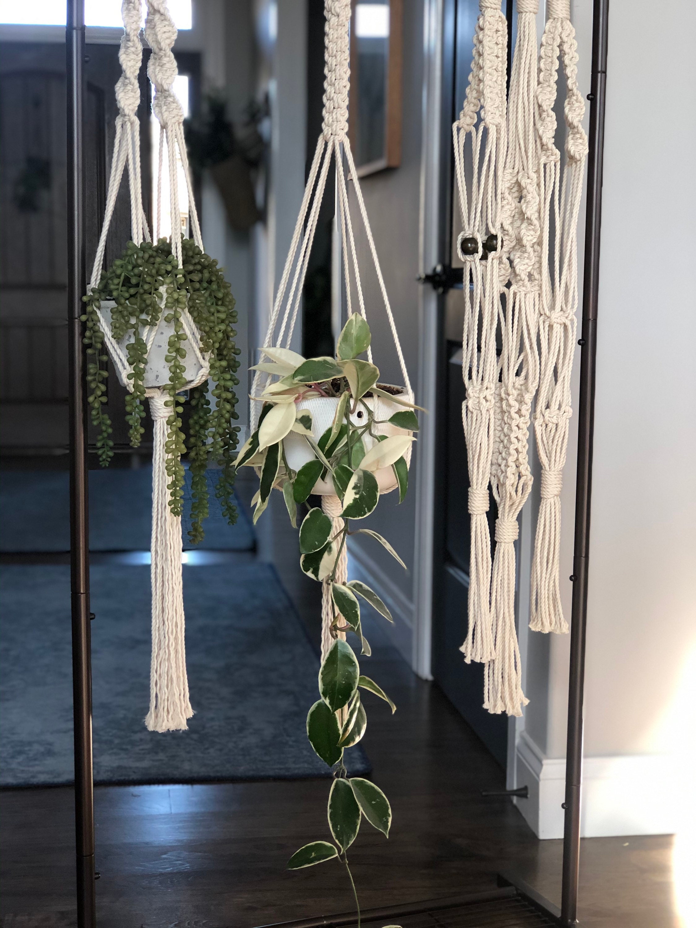 Macrame Plant Hanger, Plant Hanger, Macrame Etsy Australia