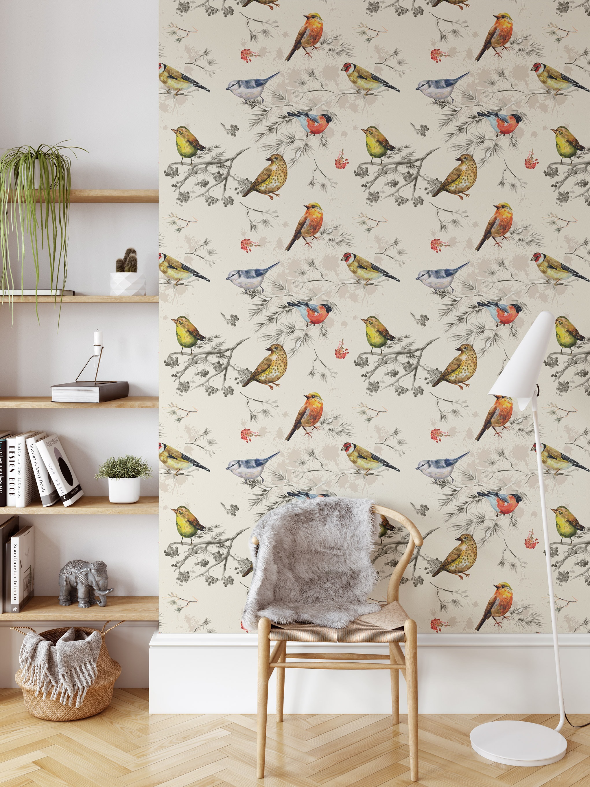 Best HD Pictures about  Peel And Stick Bird Wallpaper  with No AI Images