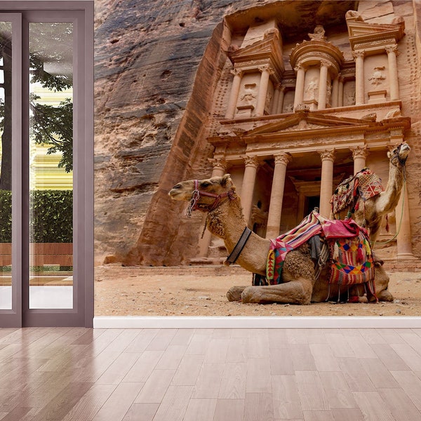 Wallpaper with beautiful camels in front of Al Khazneh in Petra | peel and stick, self adhesive, wall mural, removable wallpaper, wall decor