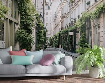 Street in Paris wallpaper, France, Removable Wall Decor [Peel and Stick (self adhesive) or Non-Pasted Vinyl Papers]