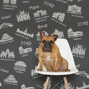 Cities of Italy, Gray Wallpaper, Famous Italian Buildings, Rome, Venice, Milan [Peel and Stick (self adhesive) or Non-Pasted Vinyl Papers]