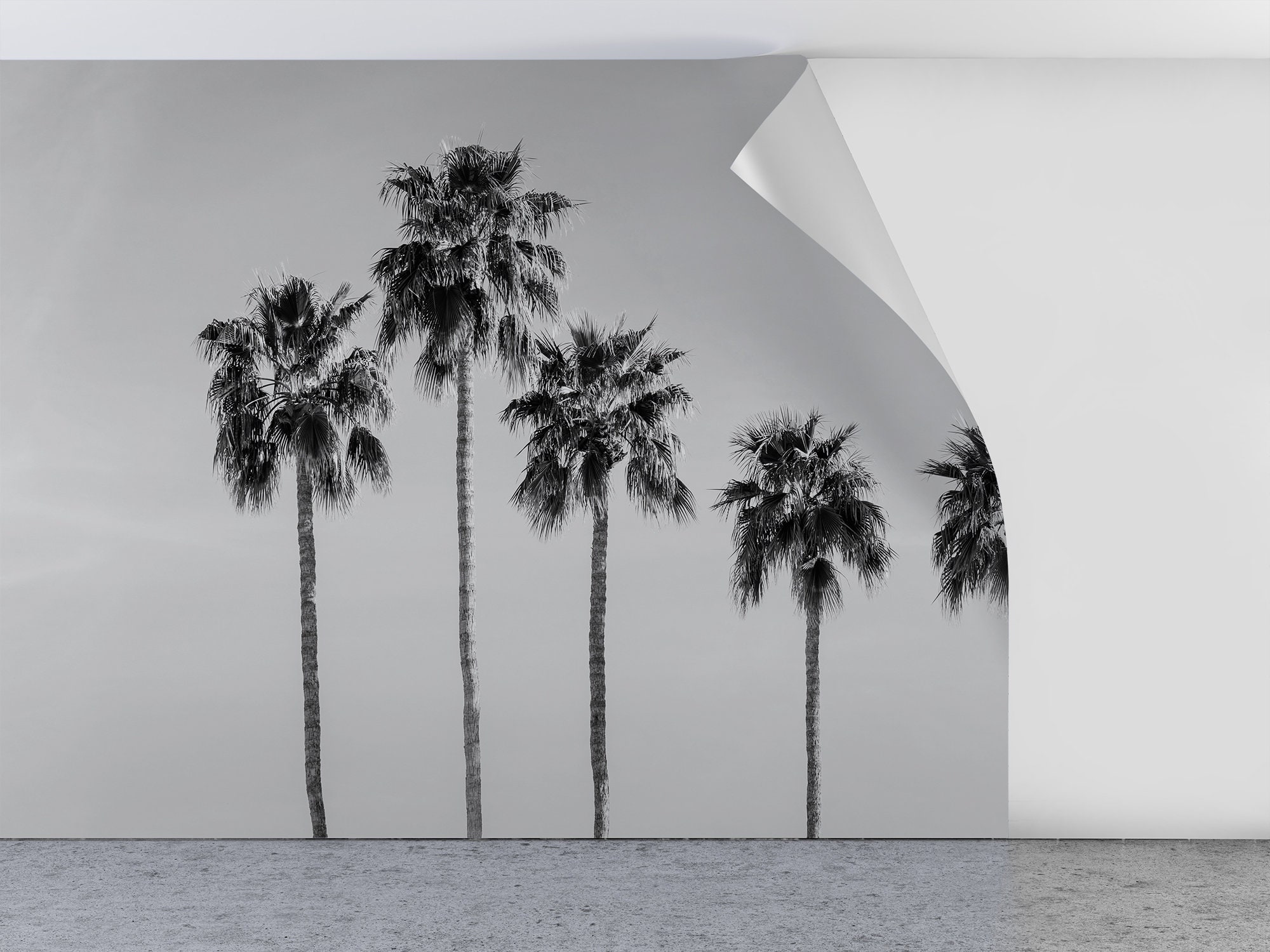 Black and White Palm Tree Wallpaper [peel and Stick (self Adhesive) or ...