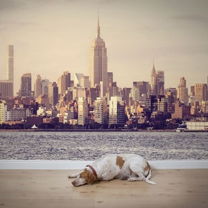 New York City-Wandbild, goldene Skyline, abnehmbare Tapete, abziehen und aufkleben, Manhattan-Sonnenuntergang, selbstklebendes Empire-State-Wandkunst-Dekor