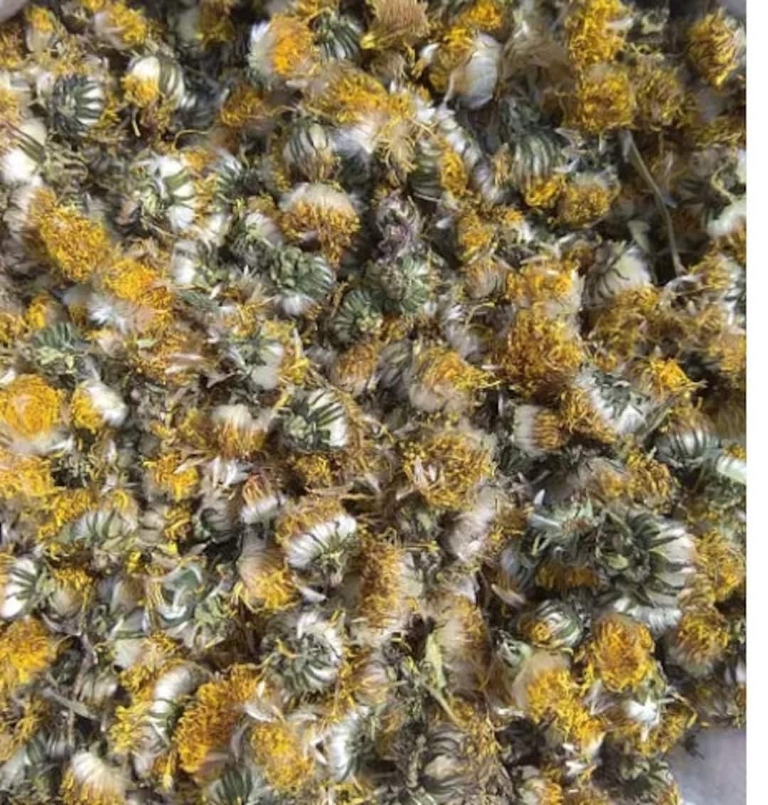 Organic Dried Dandelion Flowers Dandelion Flowers Dandelion Flower Tea