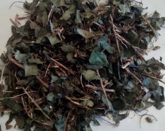 English Ivy Leaf | Organic | Hedera Helix