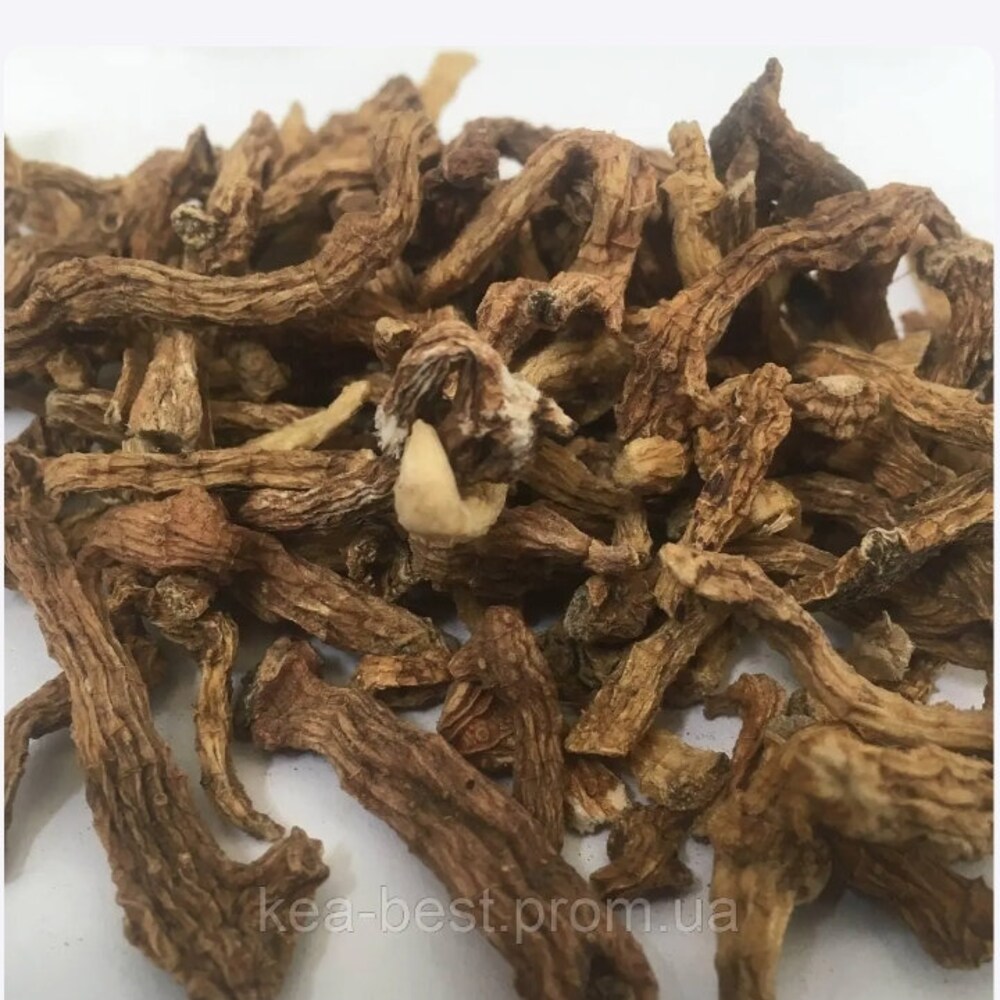 WealthofnatureStore - Etsy
