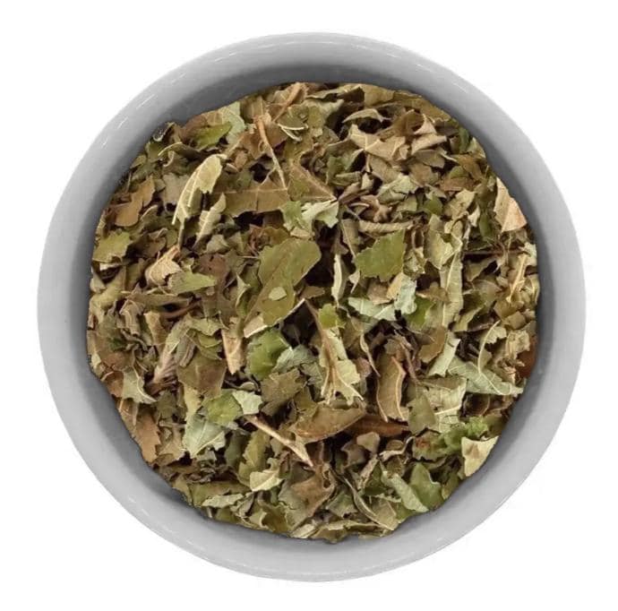 Aspen LEAF | Populus Tremula