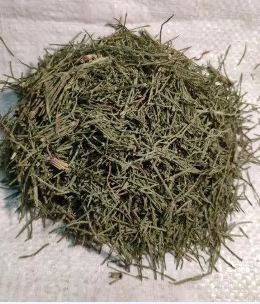 Organic Horsetail Herb / Horsetail Tea / Bulk 6oz to 1 Lbs Equisetum